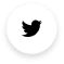 twitter icon